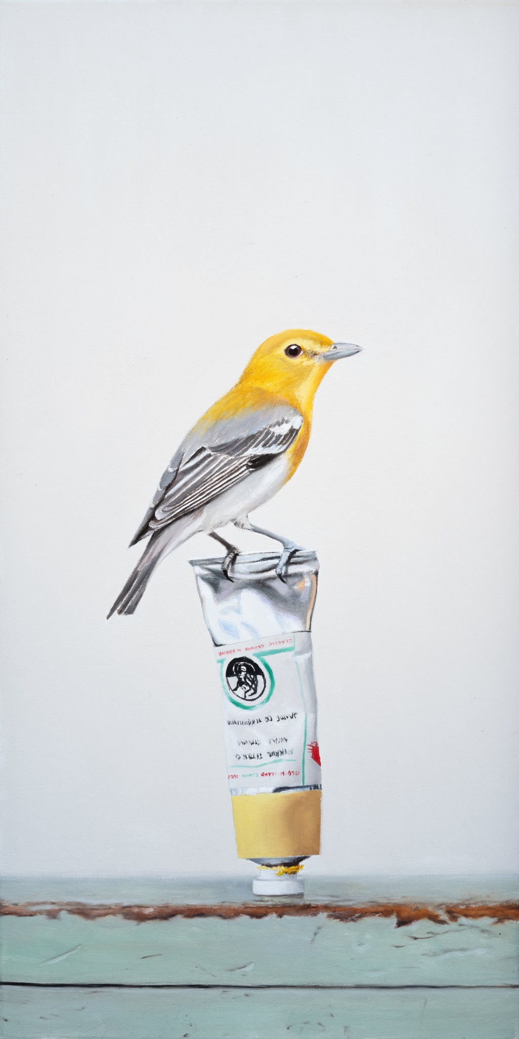 Backyard Color Study (yellow throated vireo)