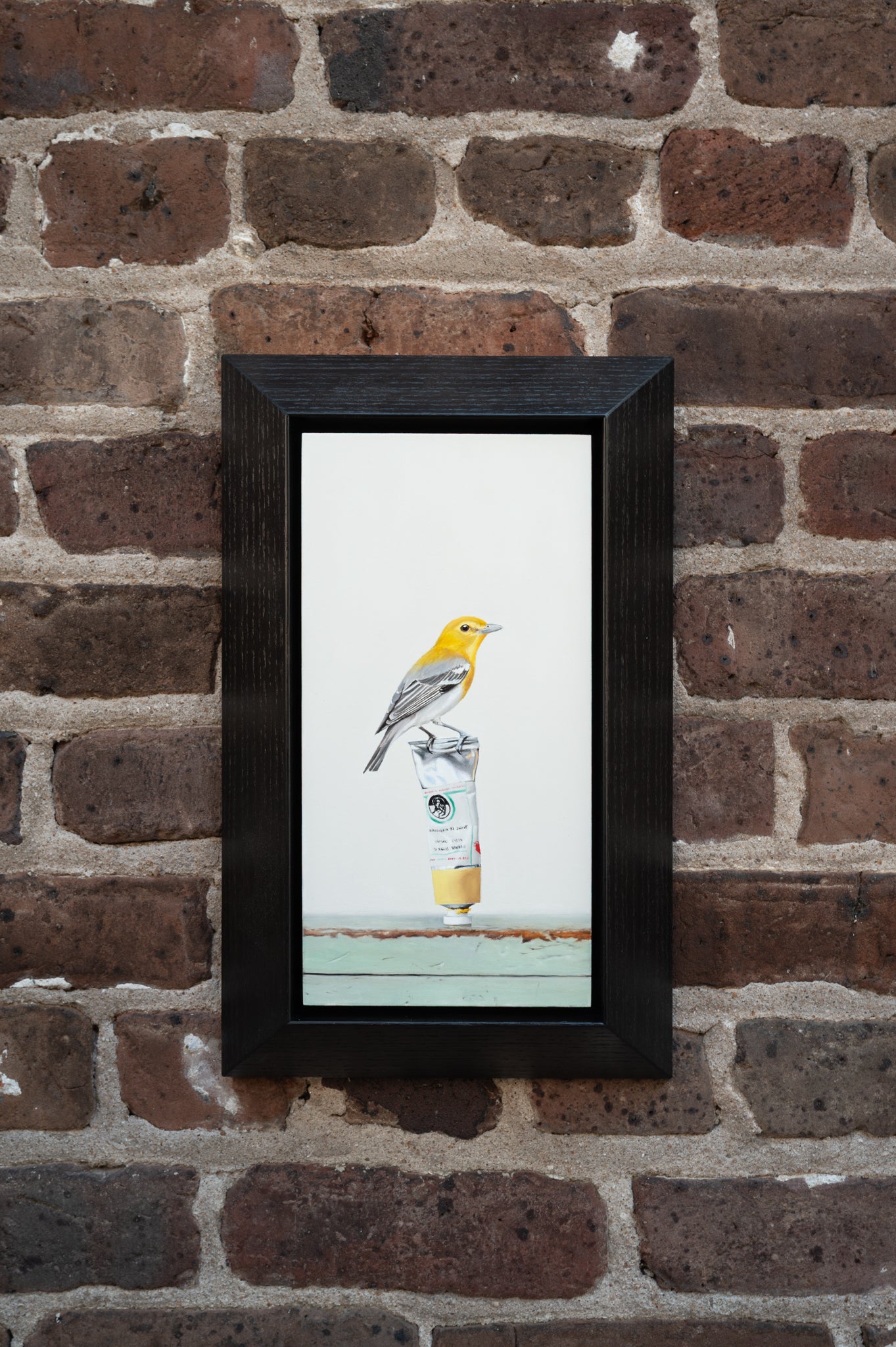 Backyard Color Study (yellow throated vireo)