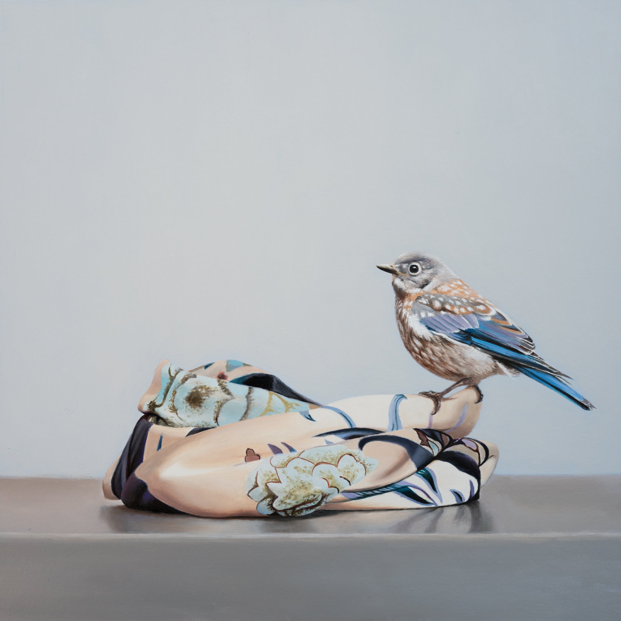 Silk Sanctuary (Juvenile Eastern Bluebird)