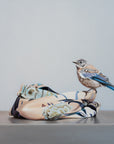 Silk Sanctuary (juvenile eastern bluebird)
