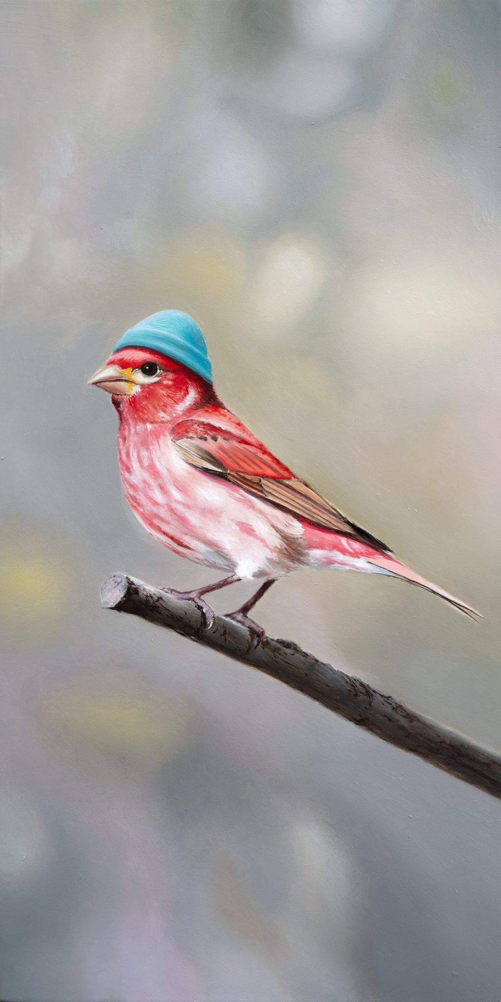 Boho Finch
