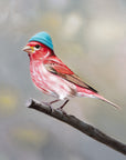 Boho Finch