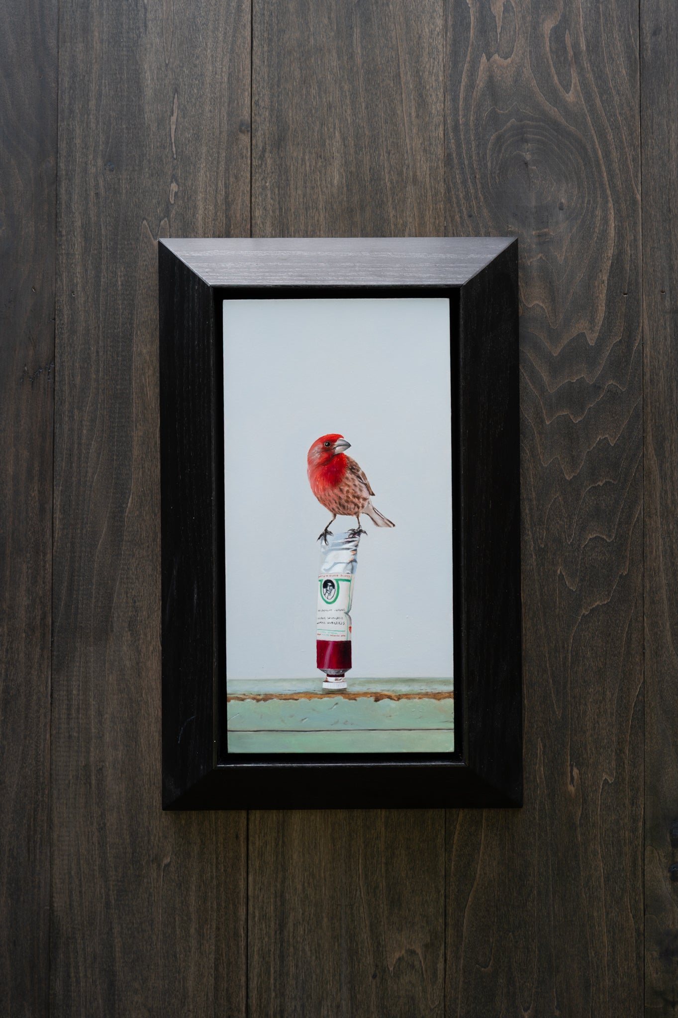 Backyard Color Study - House Finch