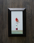 Backyard Color Study - House Finch
