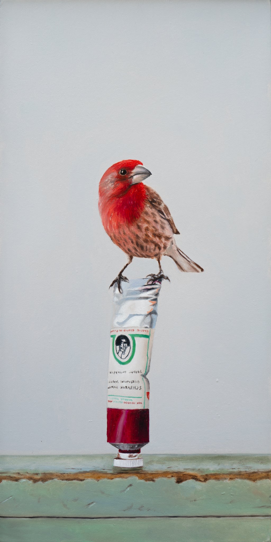Backyard Color Study - House Finch