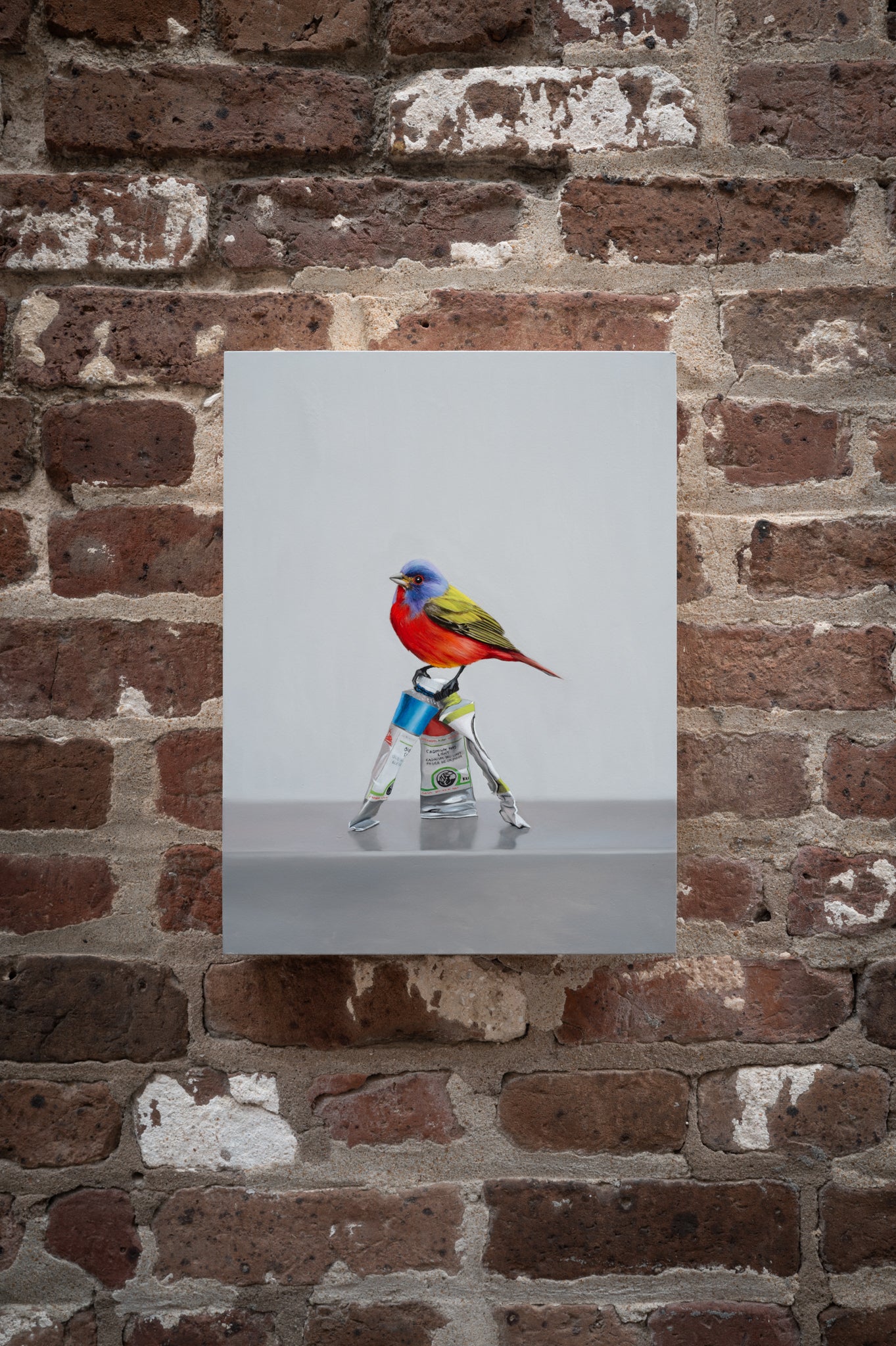 Painted Painted Bunting