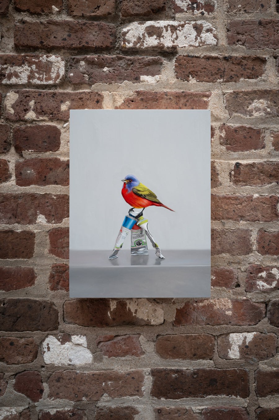 Painted Painted Bunting