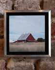 Harvest Day -Study
