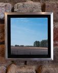 September Field -Study