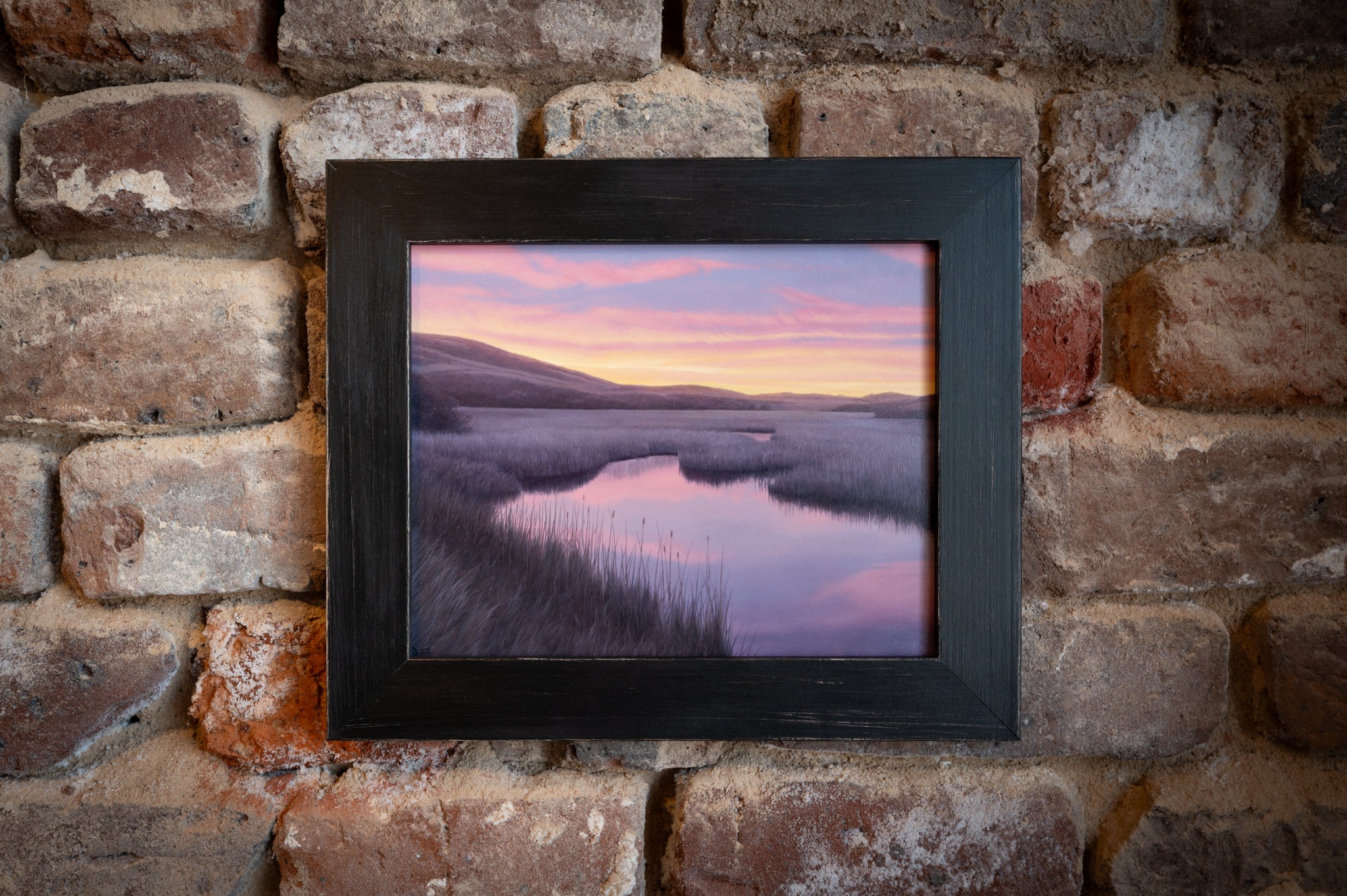 Violet Wetland