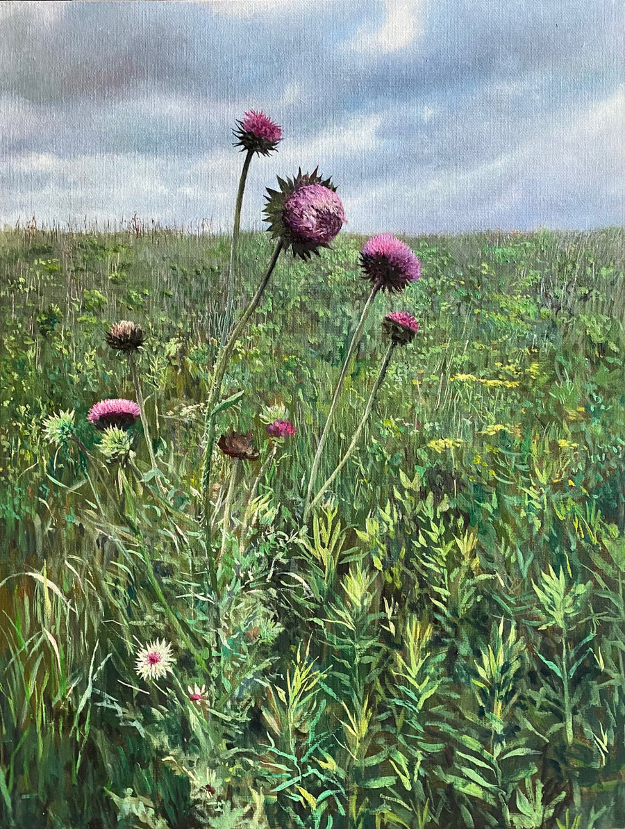 Purple Thistles