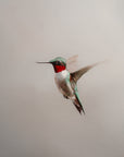 Hummingbear - Hummingbird Painting, details