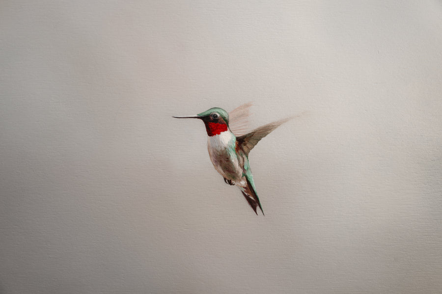 Hummingbear - Hummingbird Painting, details