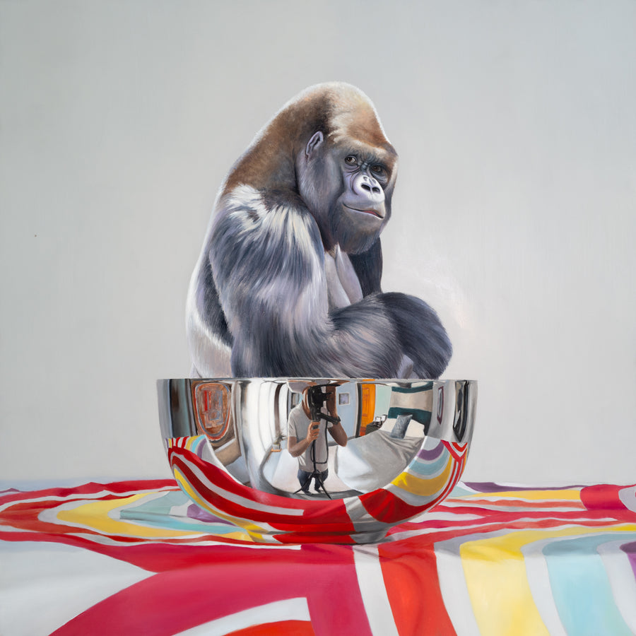 Silverbowl Gorilla