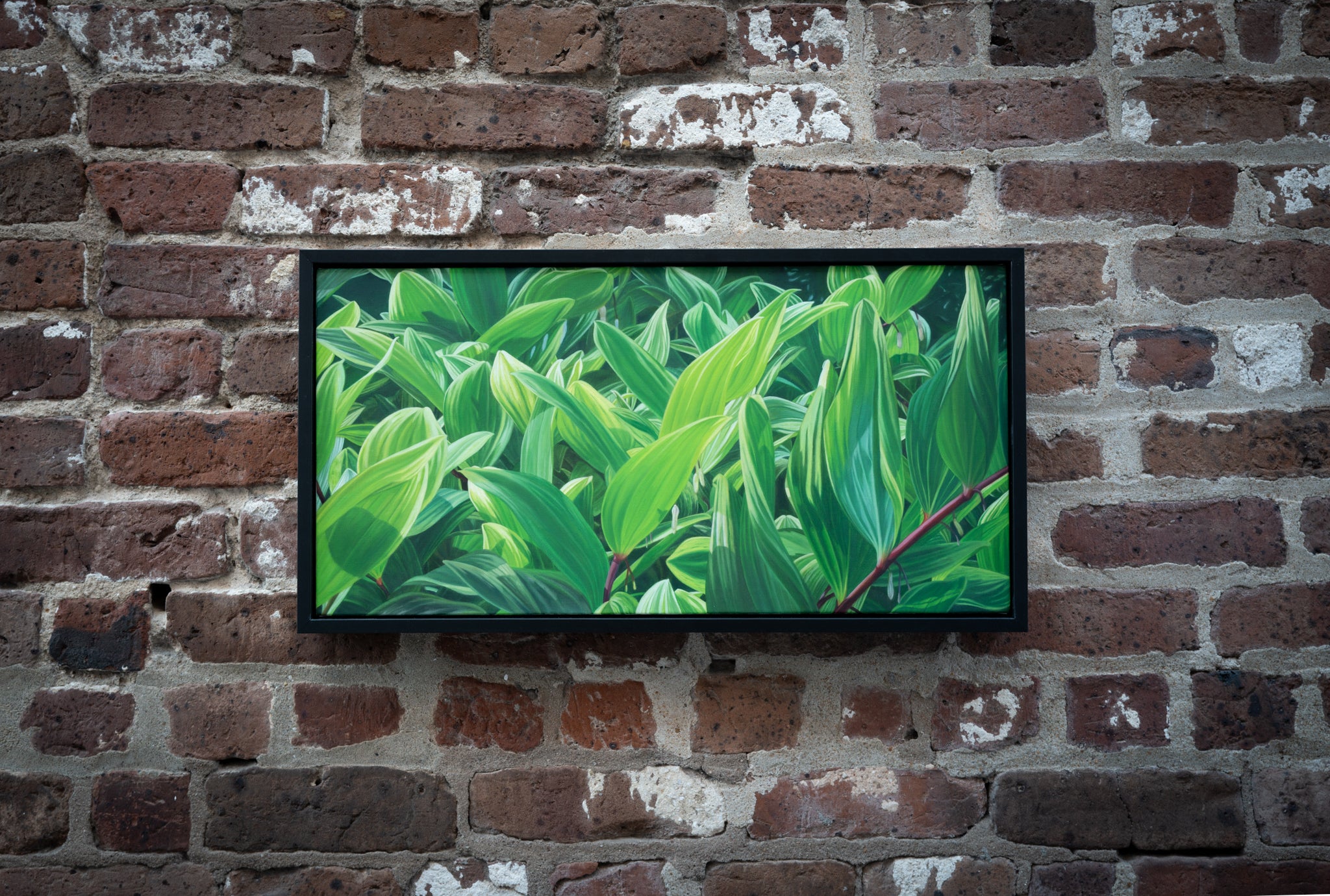 Praise for Solomon's Seal