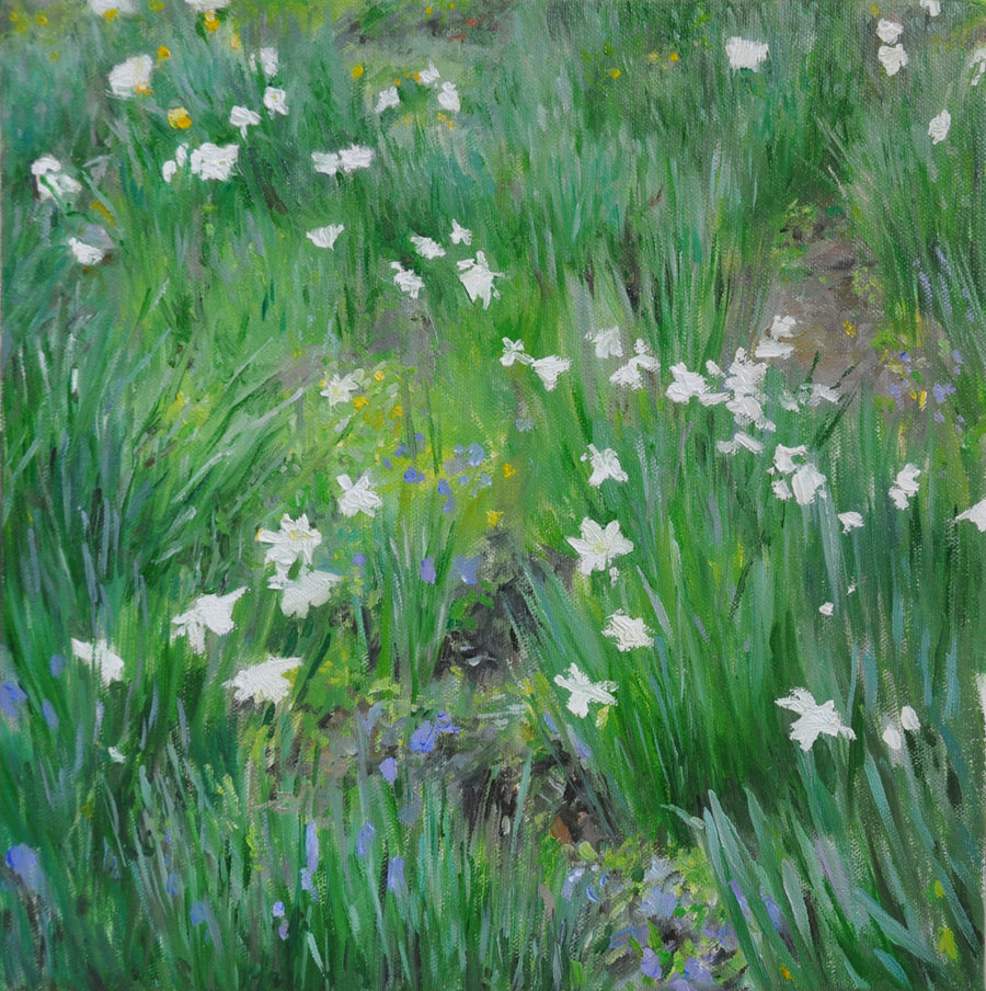 white Daffodils