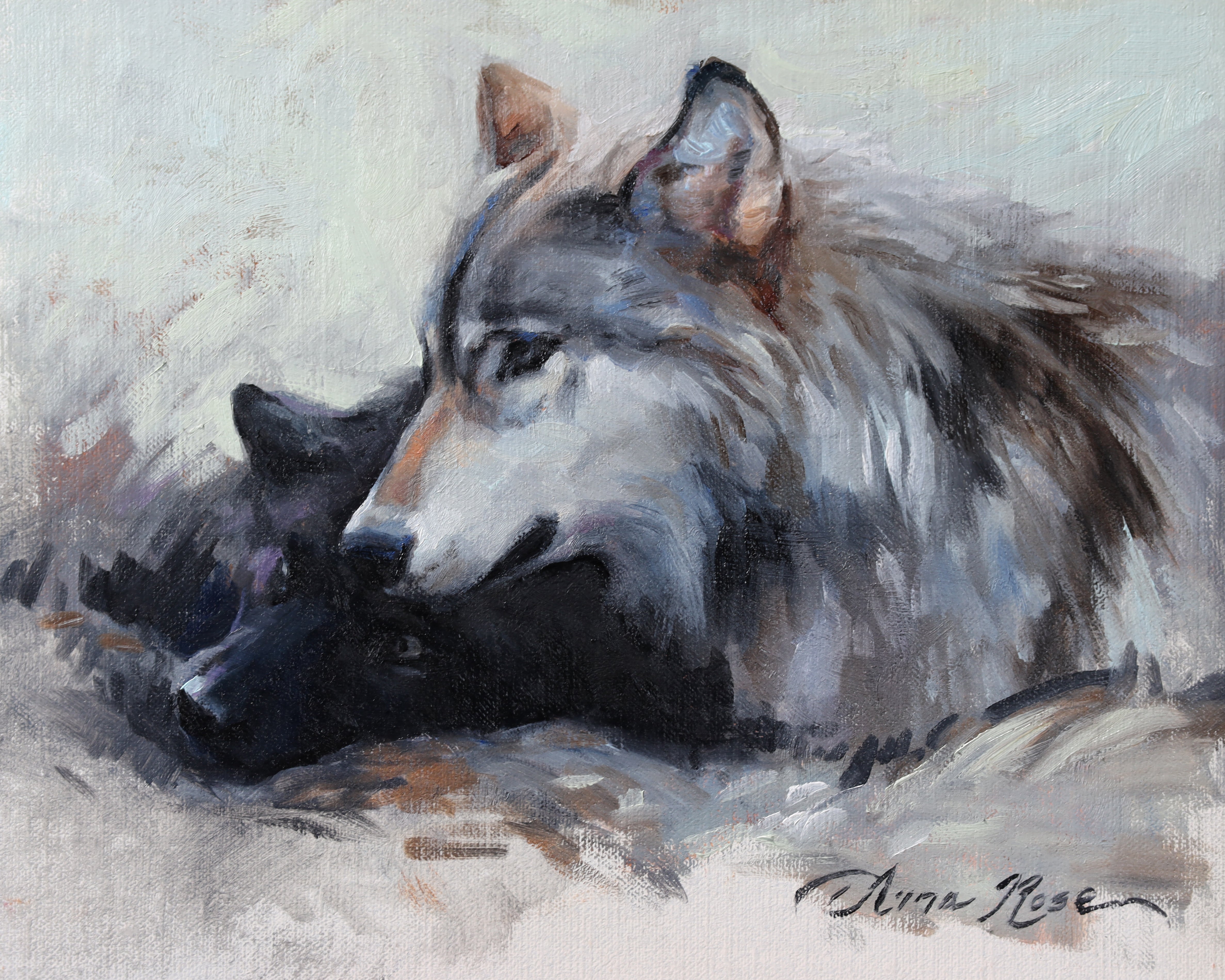 Wolf Study