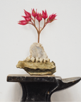 Anvil