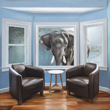 The Elephant Outside the Room