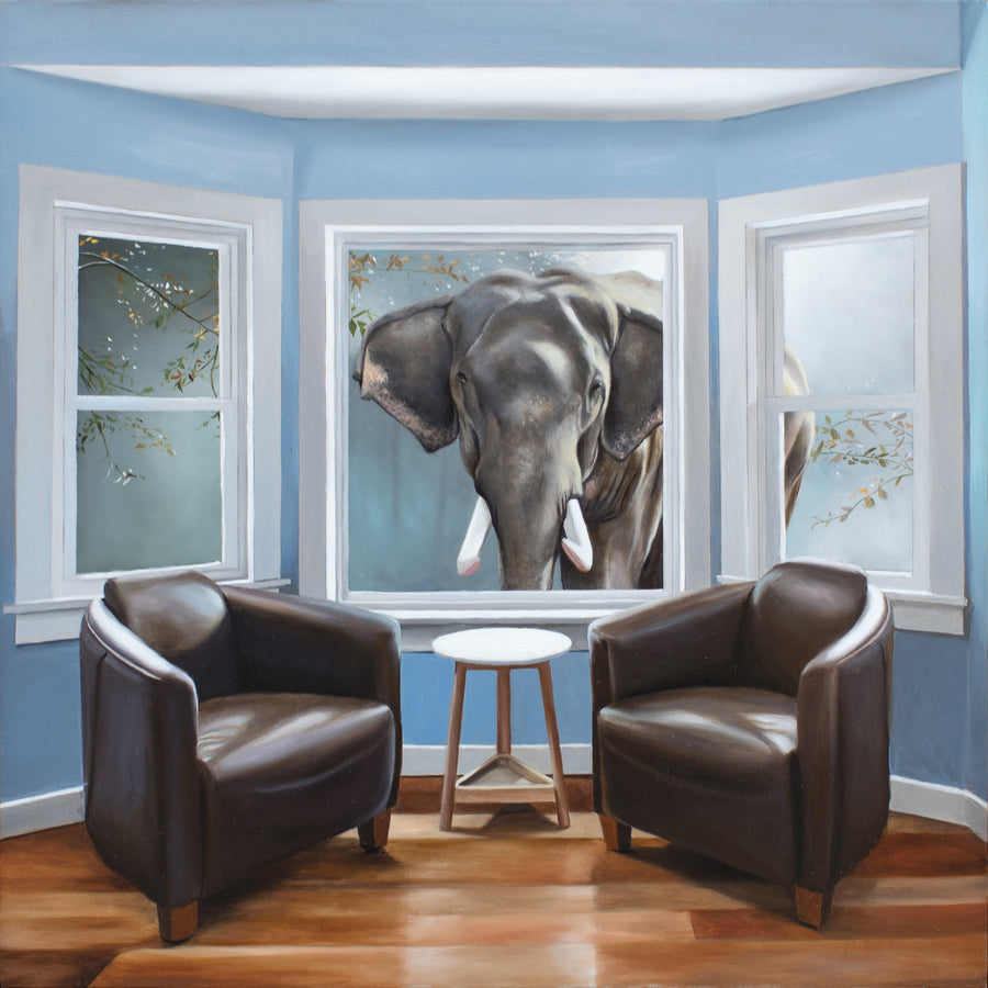 The Elephant Outside the Room