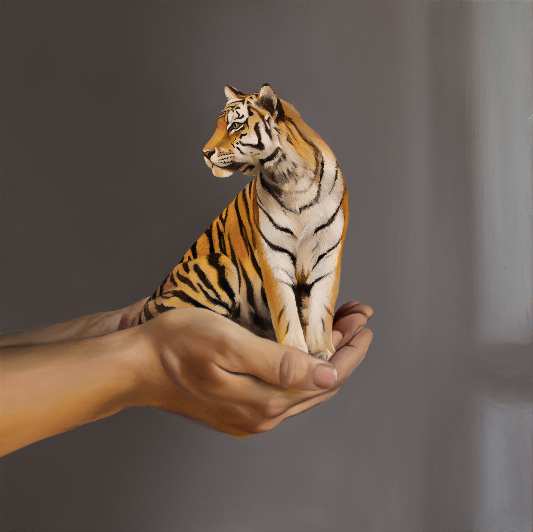 My Little Tiger