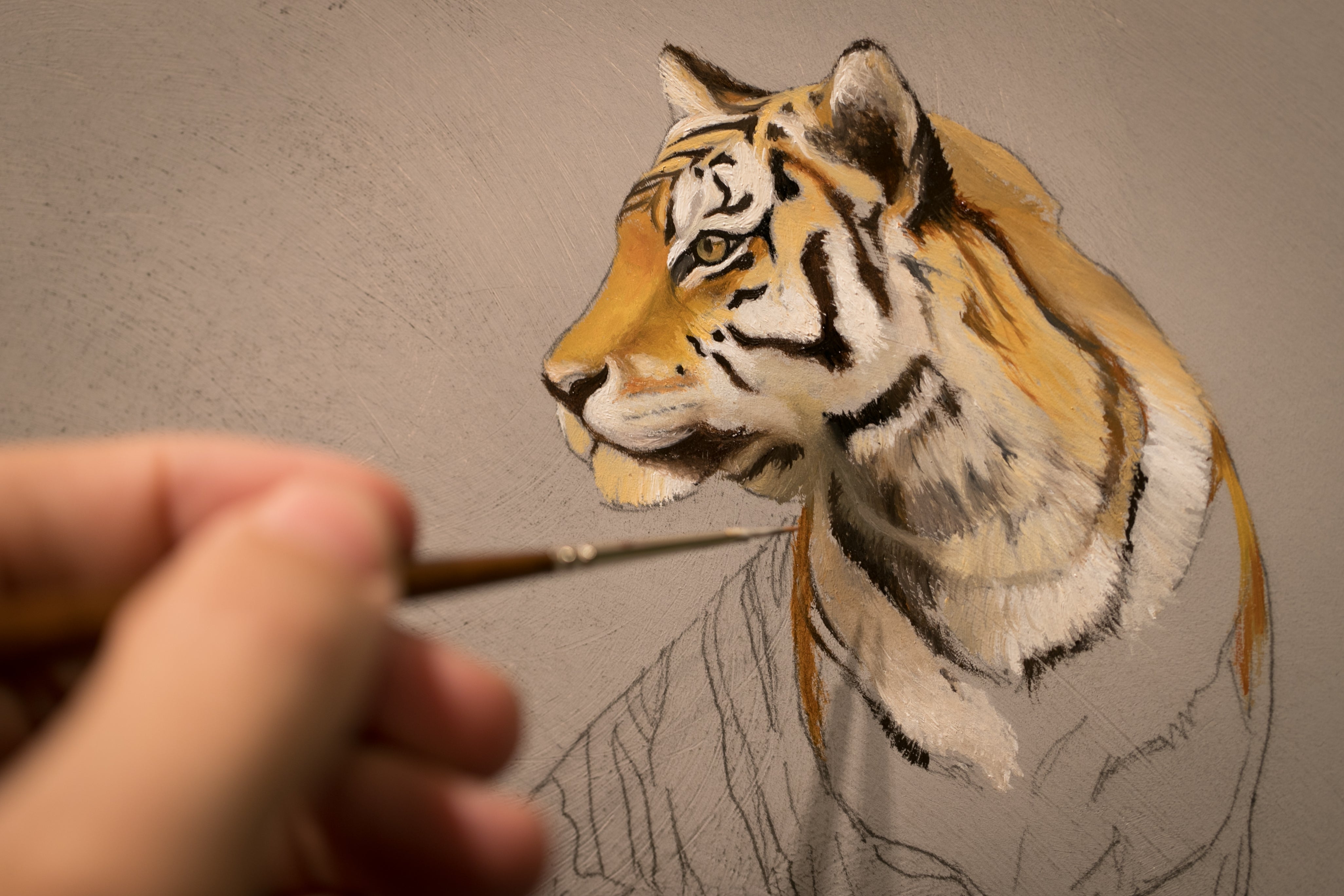 My Little Tiger
